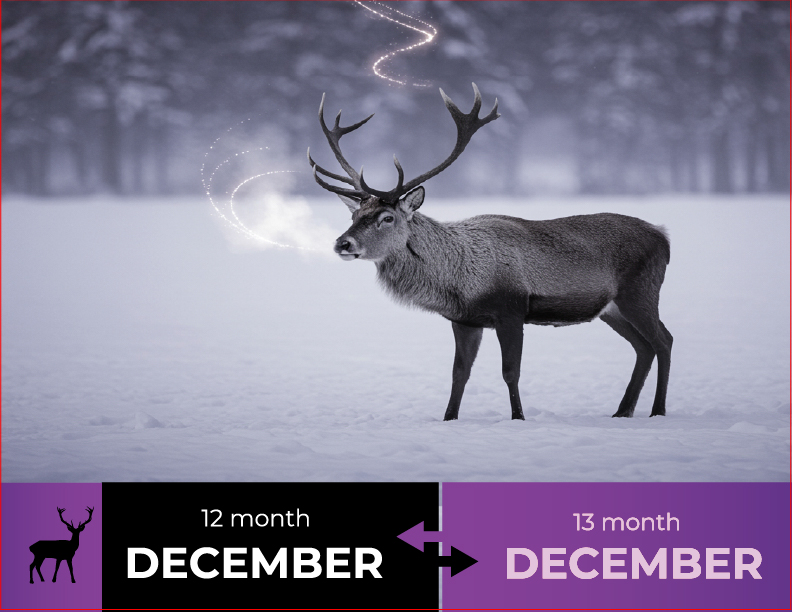 Perpetual wellness december calendar reindeer photo